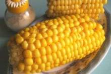 Как варить кукурузу в початке: в кастрюле, мультиварке и микроволновке