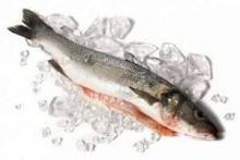 Сколько можно хранить рыбу в холодильнике (сырую, копченую, жареную, соленую, охлажденную)?
