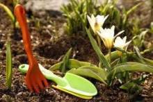 Органические удобрения для огорода: их виды и характеристики, варианты подкормки