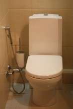 Как установить гигиенический душ в туалете, и какому виду отдать предпочтение?